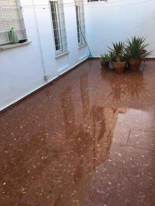 Casa Soleada En Calle Tranquila Sevilla Exterior foto